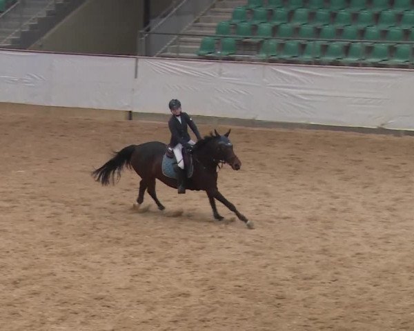Reitturnier Kreuth/Opf. 2019