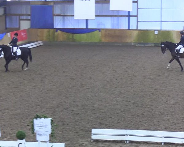 Reitturnier Großenwiehe 2019