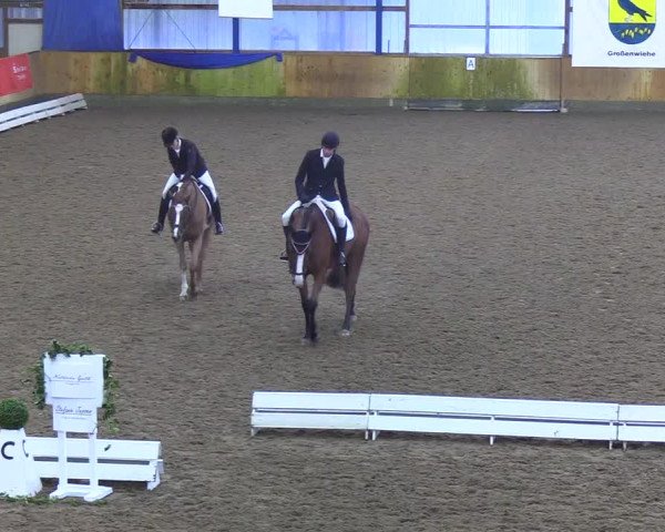 Reitturnier Großenwiehe 2019