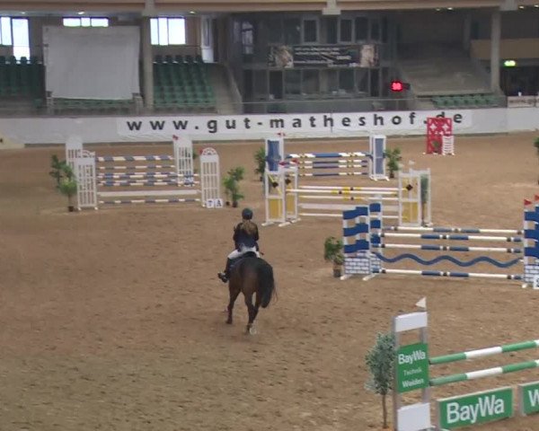 Reitturnier Kreuth/Opf. 2019