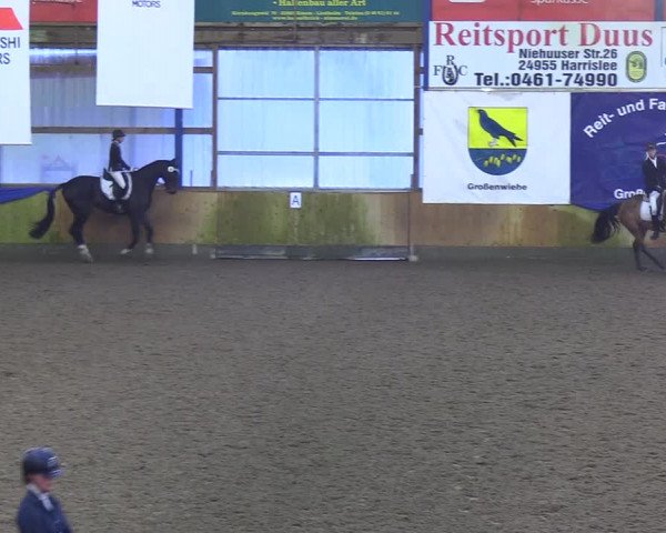 Reitturnier Großenwiehe 2019