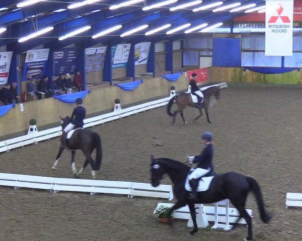 Reitturnier Großenwiehe 2019