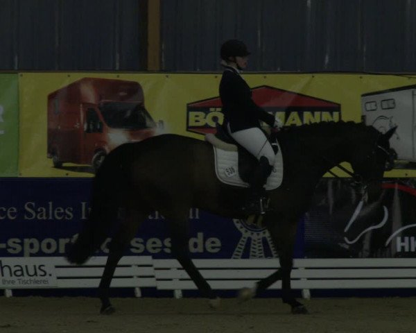 Reitturnier Isterberg 2019