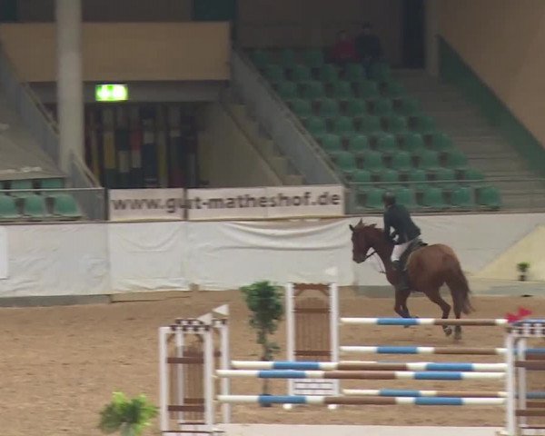 Reitturnier Kreuth/Opf. 2019