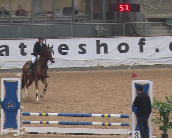 Reitturnier Kreuth/Opf. 2019