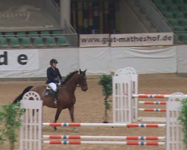 Reitturnier Kreuth/Opf. 2019