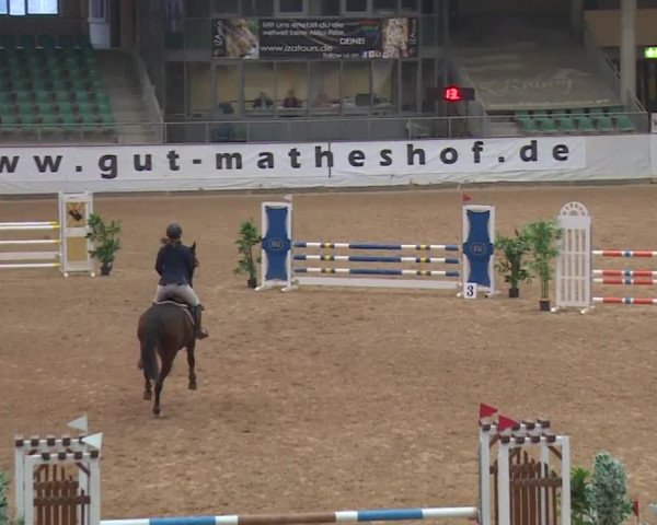 Reitturnier Kreuth/Opf. 2019
