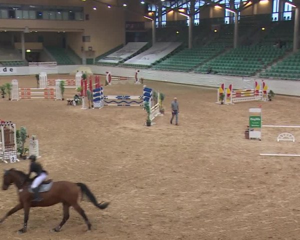 Reitturnier Kreuth/Opf. 2019