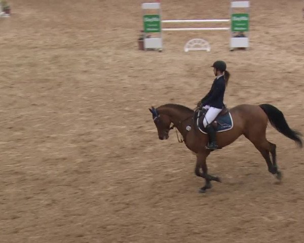 Reitturnier Kreuth/Opf. 2019