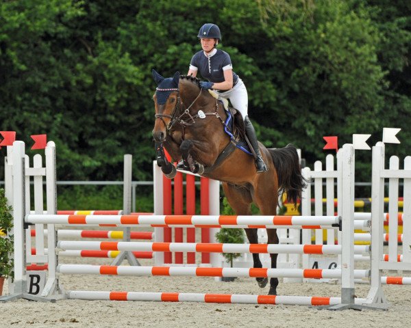 jumper Carlsson vom Dach 7 (Holsteiner, 2012, from Canturo)