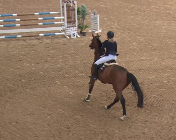 Reitturnier Kreuth/Opf. 2019