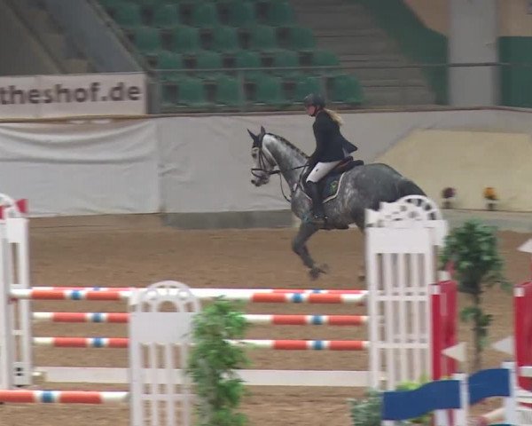 Reitturnier Kreuth/Opf. 2019
