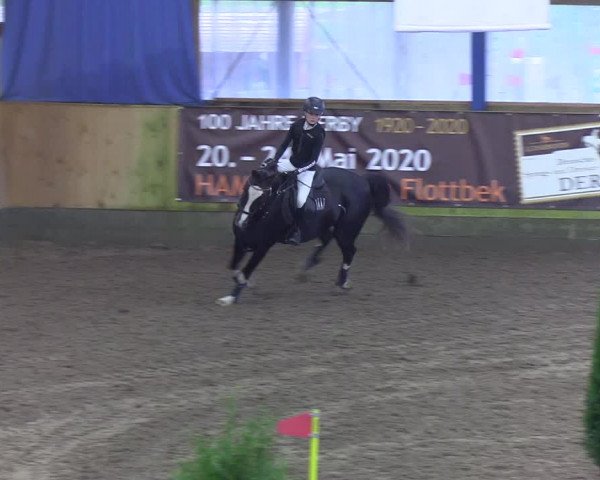 Reitturnier Großenwiehe 2019