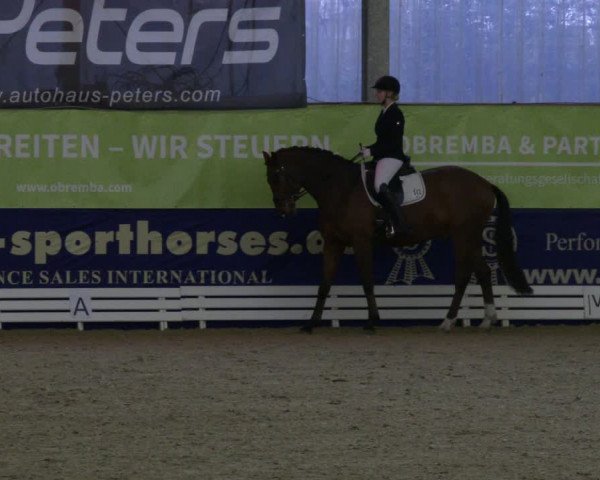 Reitturnier Isterberg 2019