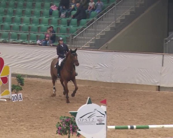 Reitturnier Kreuth/Opf. 2019