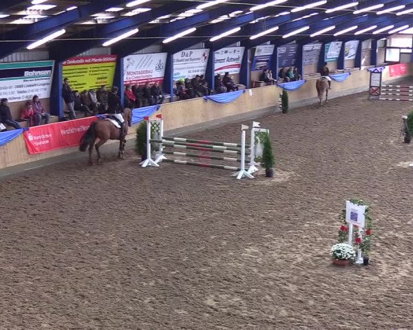 Reitturnier Großenwiehe 2019
