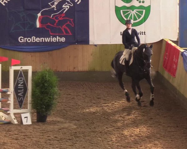 Reitturnier Großenwiehe 2019