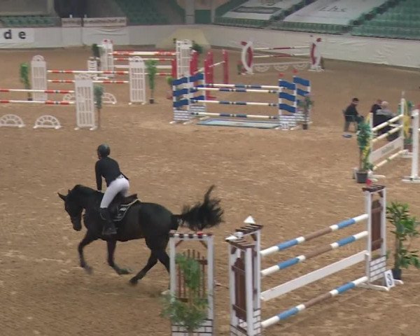 Reitturnier Kreuth/Opf. 2019