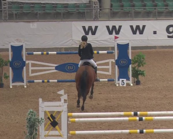 Reitturnier Kreuth/Opf. 2019