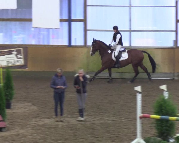 Reitturnier Großenwiehe 2019