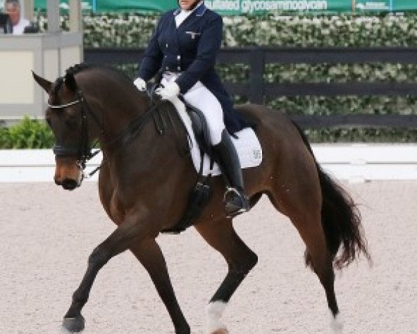 Dressurpferd Rubinio (Westfale, 2006, von Roh Magic)