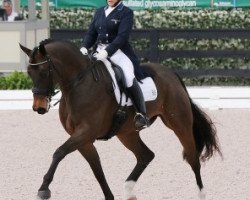 dressage horse Rubinio (Westphalian, 2006, from Roh Magic)