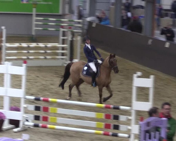 Reitturnier Legden 2019