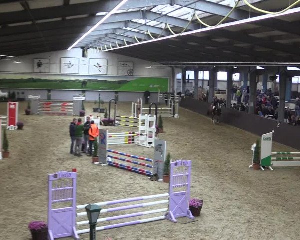 Reitturnier Legden 2019