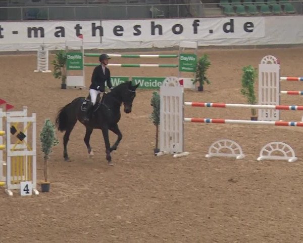 Reitturnier Kreuth/Opf. 2019