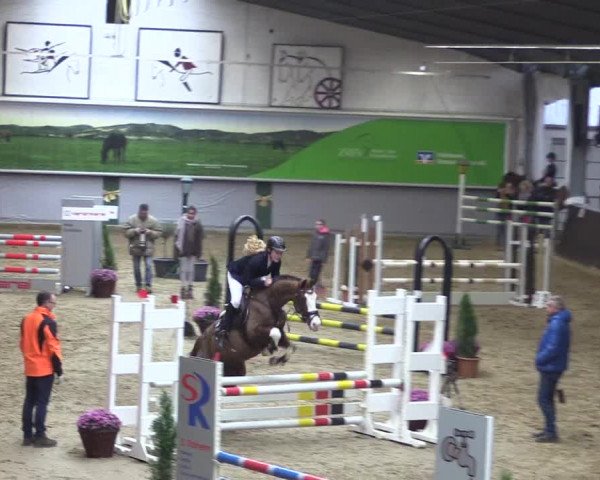 Reitturnier Legden 2019