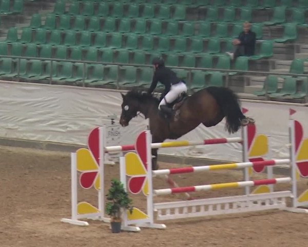 Reitturnier Kreuth/Opf. 2019