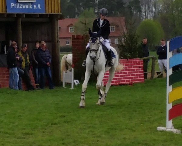 jumper Monty S 2 (Mecklenburg, 2000, from Matador xx)