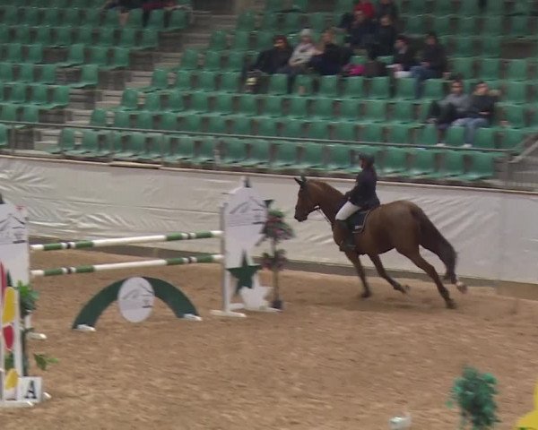 Reitturnier Kreuth/Opf. 2019