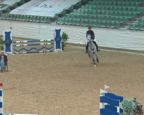 Reitturnier Kreuth/Opf. 2019