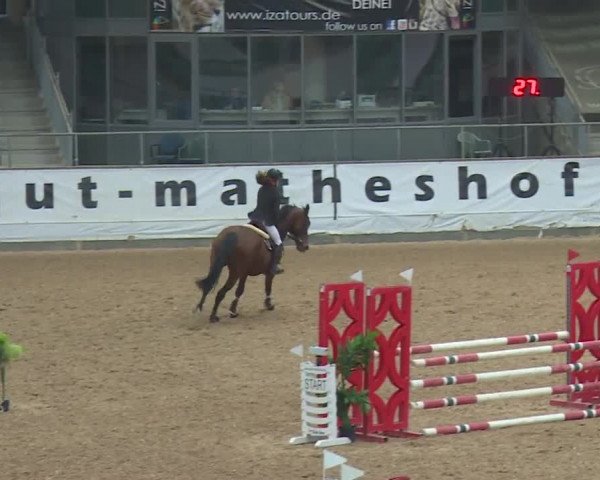 Reitturnier Kreuth/Opf. 2019