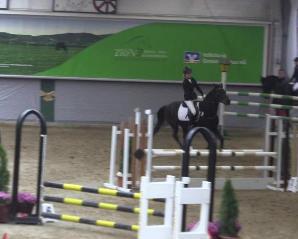 Reitturnier Legden 2019