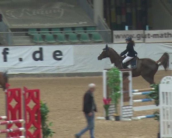Reitturnier Kreuth/Opf. 2019