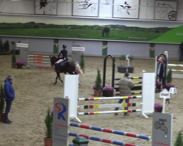 Reitturnier Legden 2019