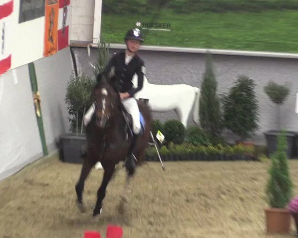 Reitturnier Legden 2019