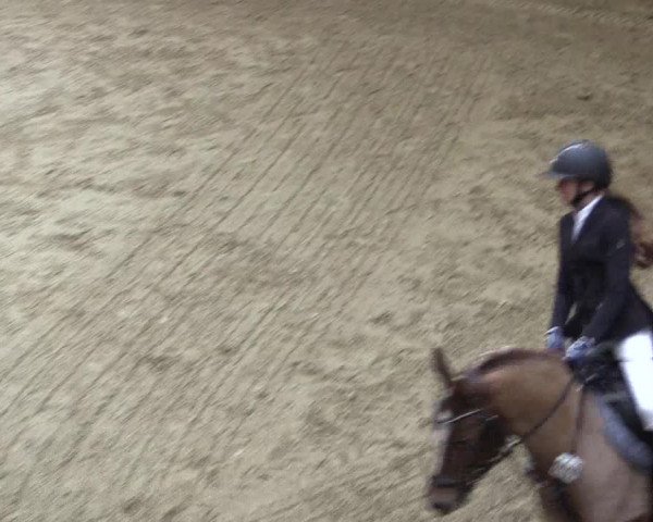 Reitturnier Legden 2019