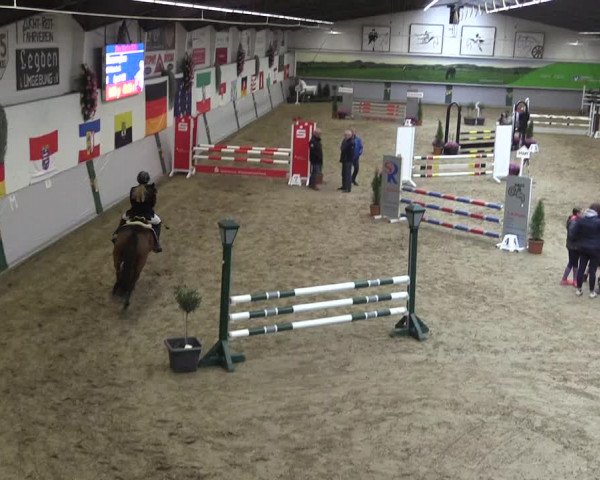 Reitturnier Legden 2019