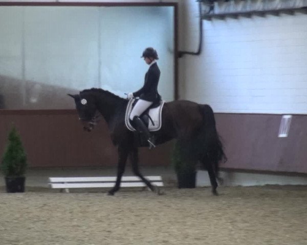 Reitturnier Lembeck 2019
