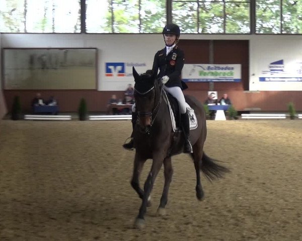 Reitturnier Lembeck 2019