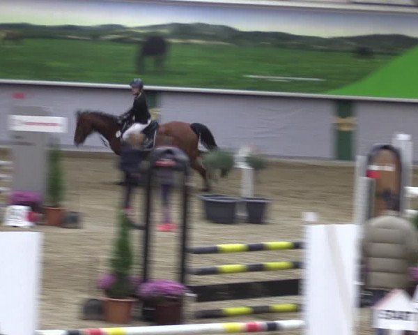Reitturnier Legden 2019