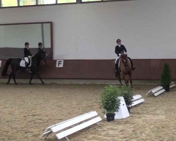Reitturnier Lembeck 2019