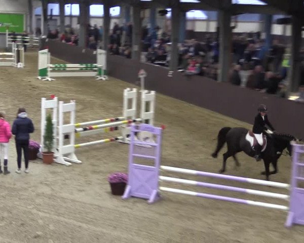Reitturnier Legden 2019