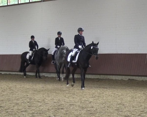 Reitturnier Lembeck 2019