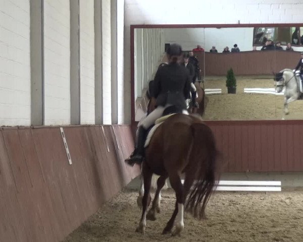 Reitturnier Lembeck 2019