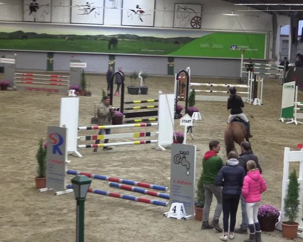Reitturnier Legden 2019