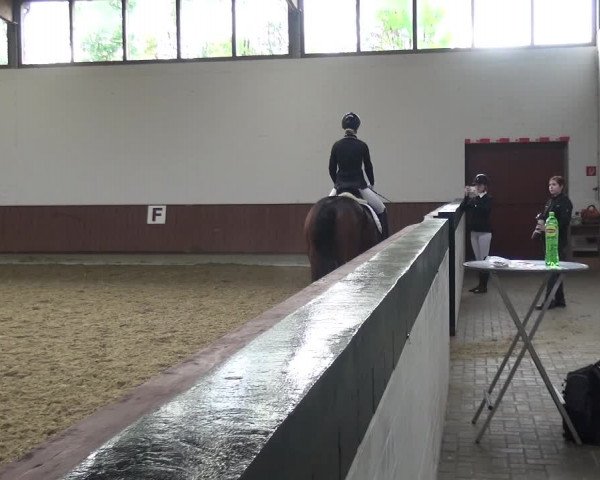 Reitturnier Lembeck 2019